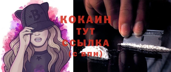 шишки Ижевск