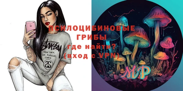 соль ск Арсеньев